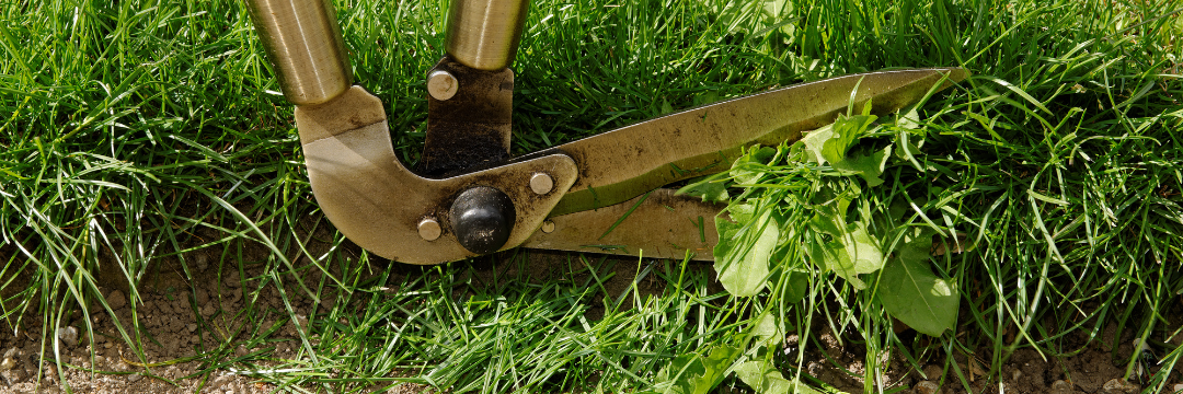 grass cutting edging lawn tool