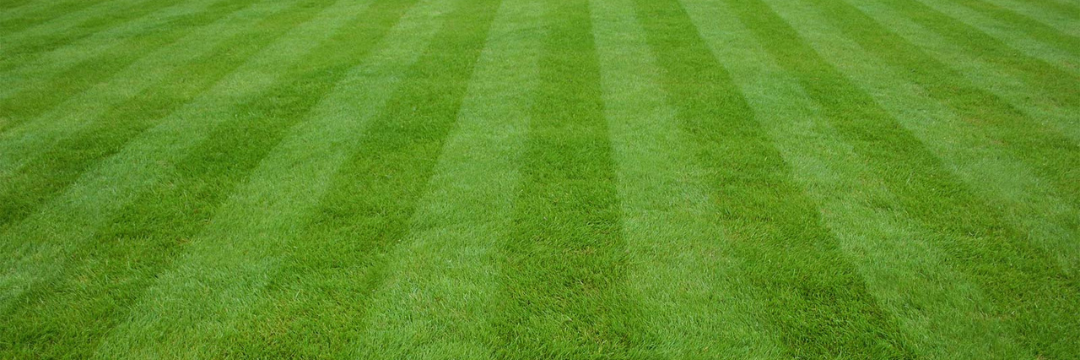 how do i get lawn stripes in my lawn uk