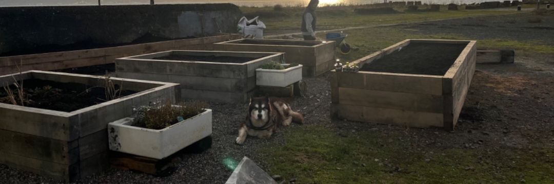 railway-sleepers-for-sale-near-me-glasgow-mitchell-turf.jpg