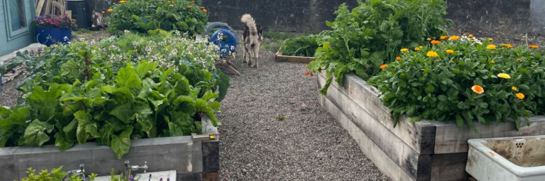 railway-sleepers-good-for-vegetable-gardens-glasgow-mitchell-turf.jpg